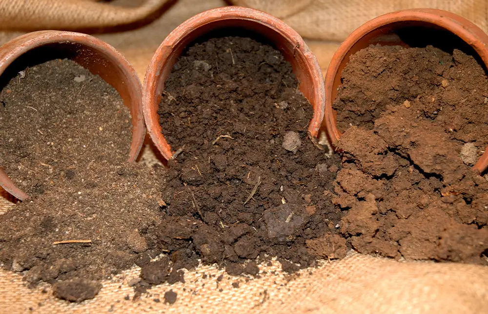 Clay Soil