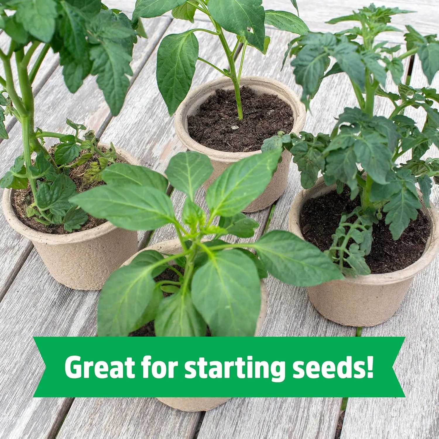 Premium Organic Garden Soil