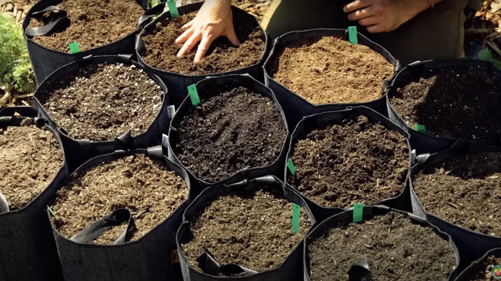 Potting Mixes