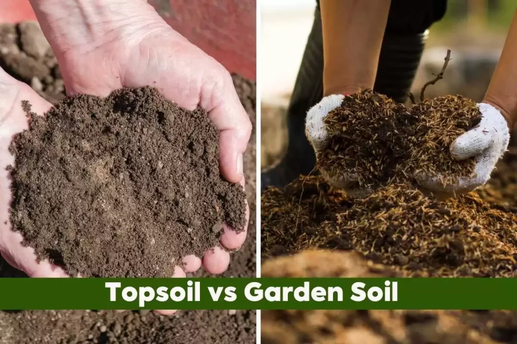 Topsoil vs. Garden Soil