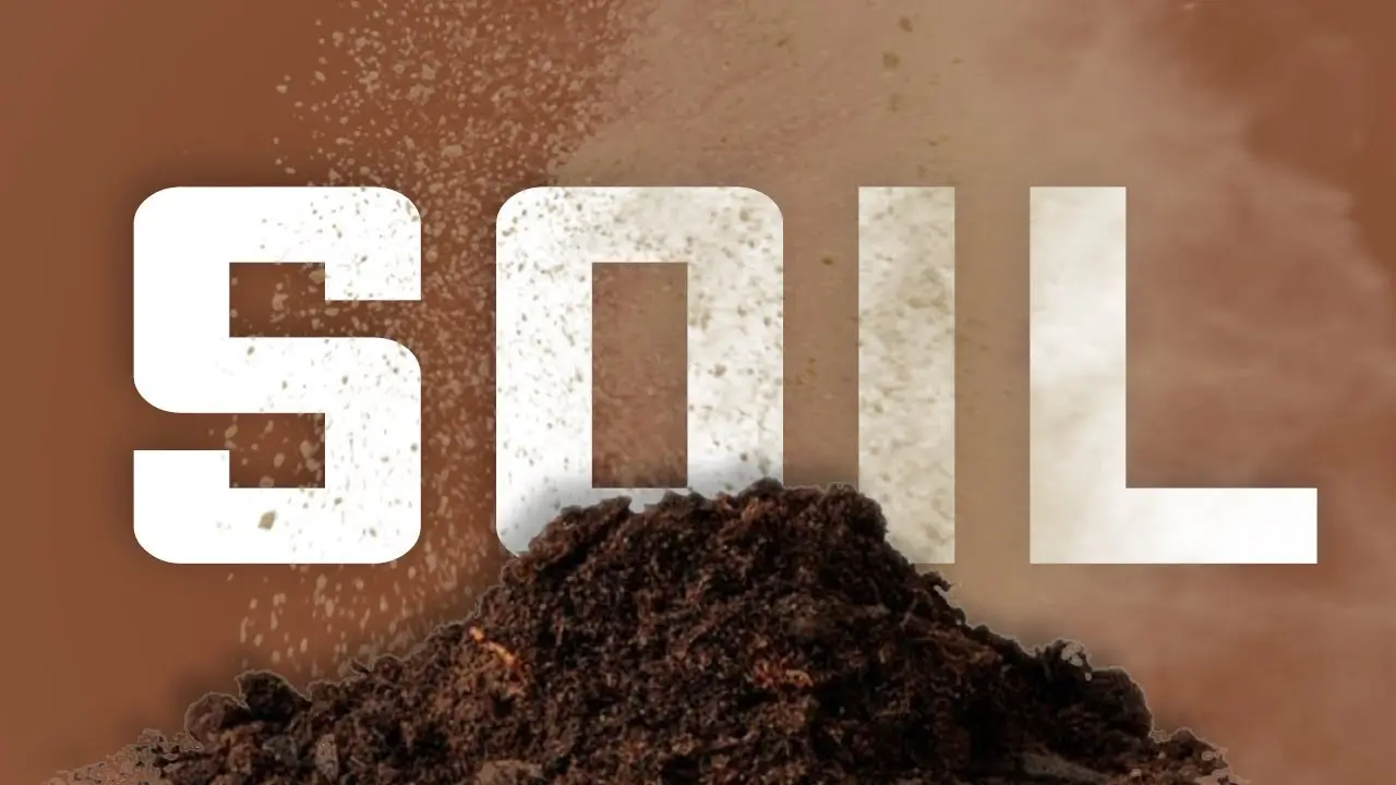 soil